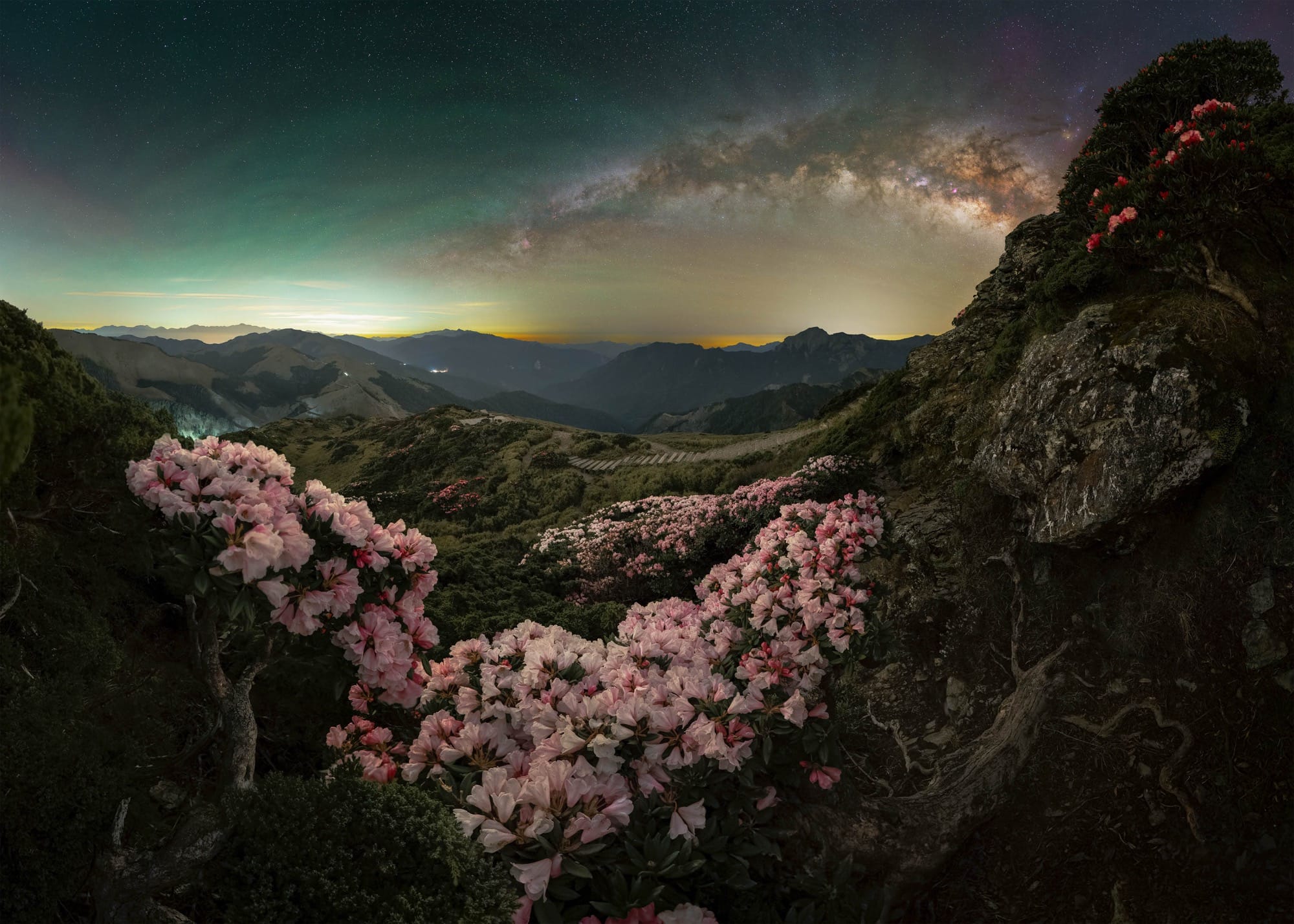 lush pink flowers in a valley underneath the milky way