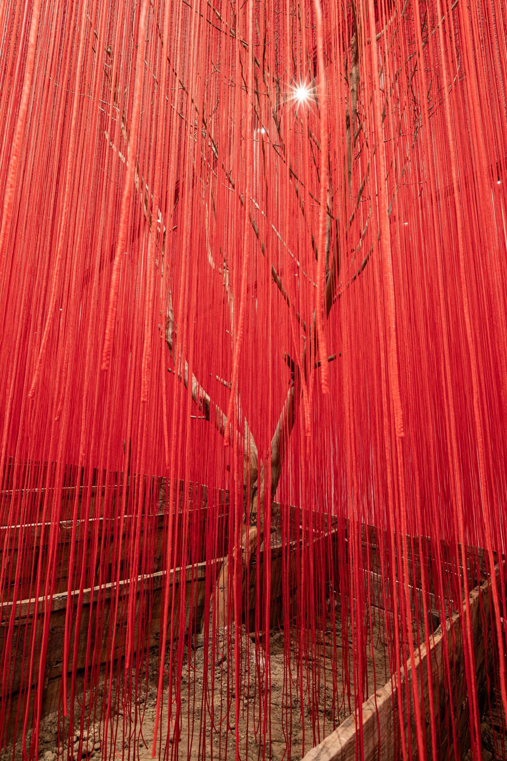 red string drapes around a wooden boat with a tree branch poking out