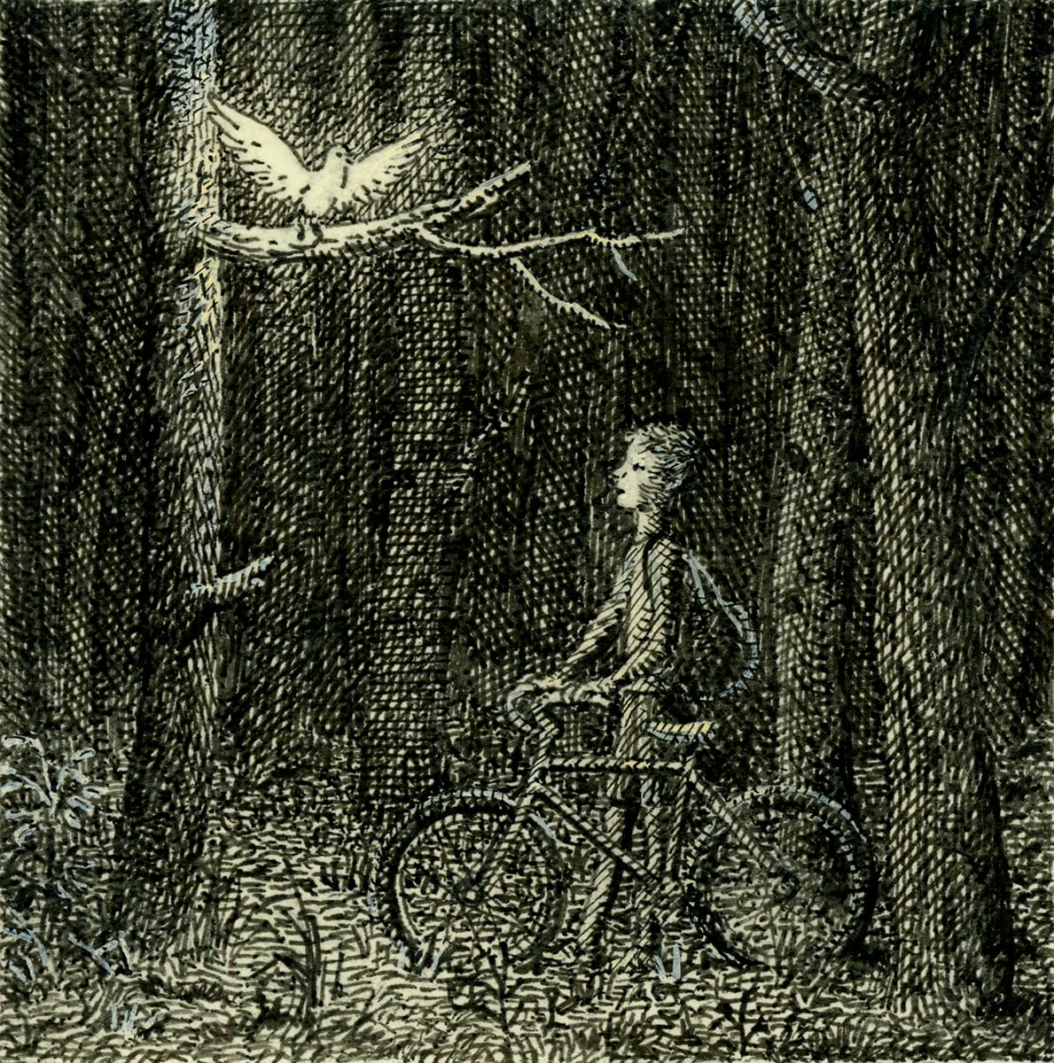 a drawing of a child pushing a bike through a forest with a glowing bird perched on a branch post it note