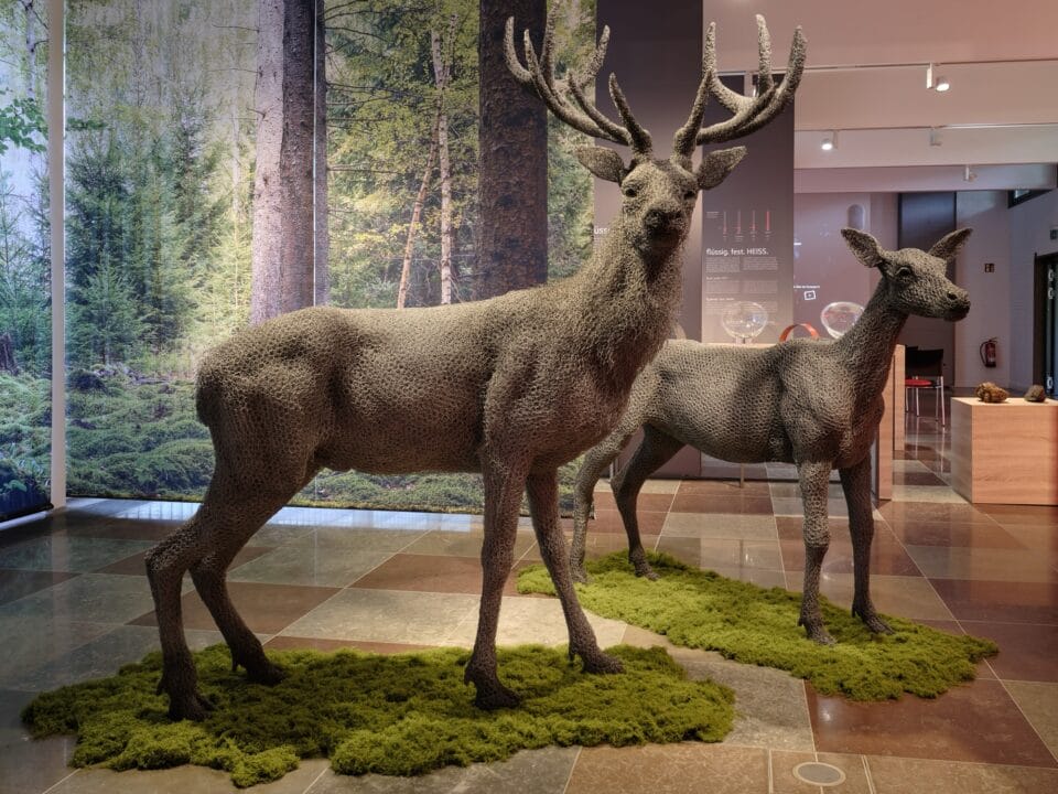 two life-size wire sculptures of deer in a museum exhibition