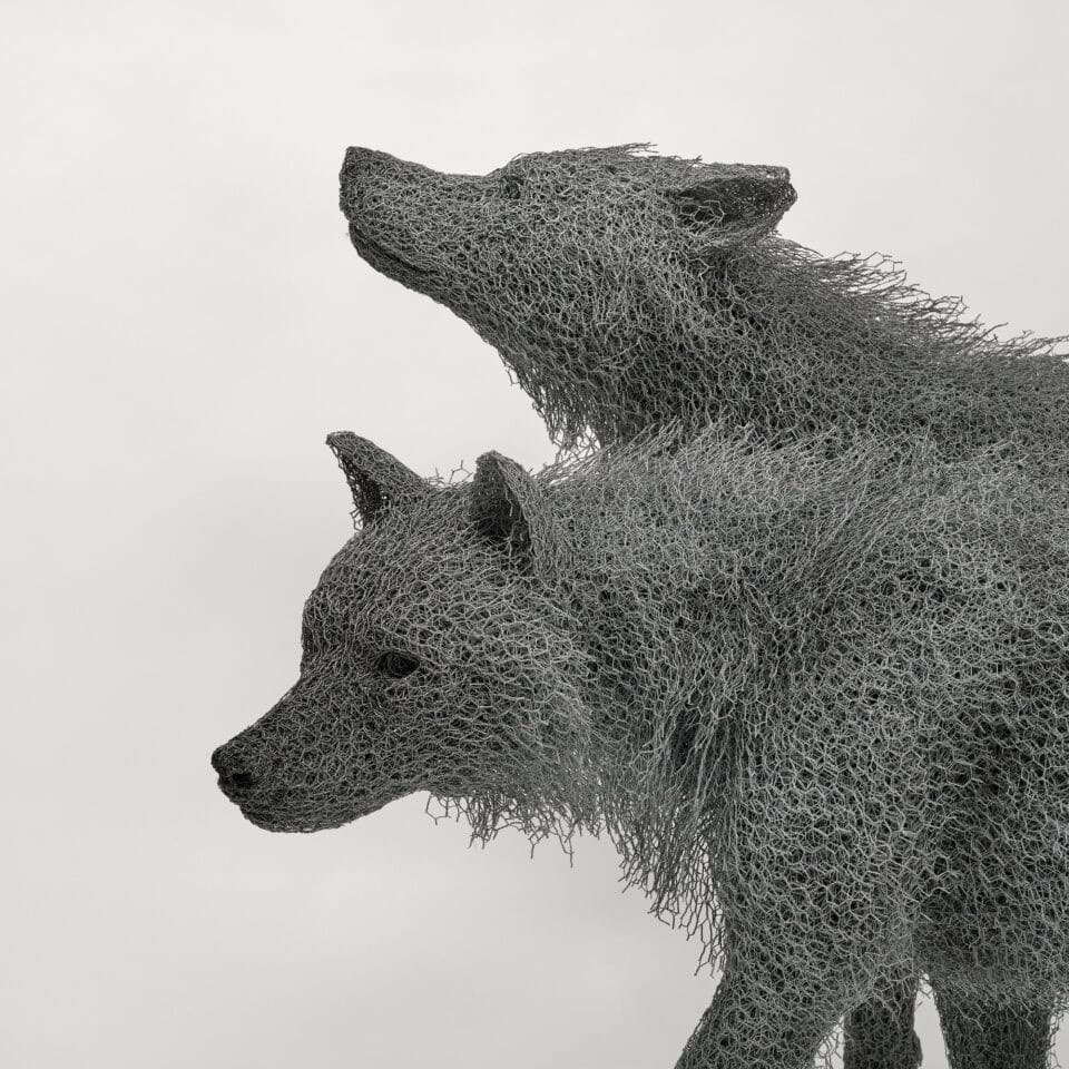 a detail of a pair of life-size wire sculptures of wolves
