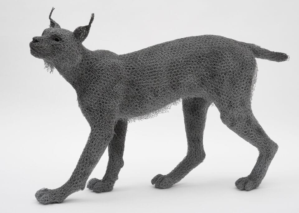 a life-size wire sculpture of a bobcat