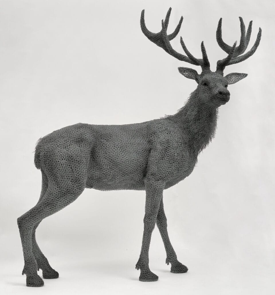 a life-size wire sculpture of a male deer