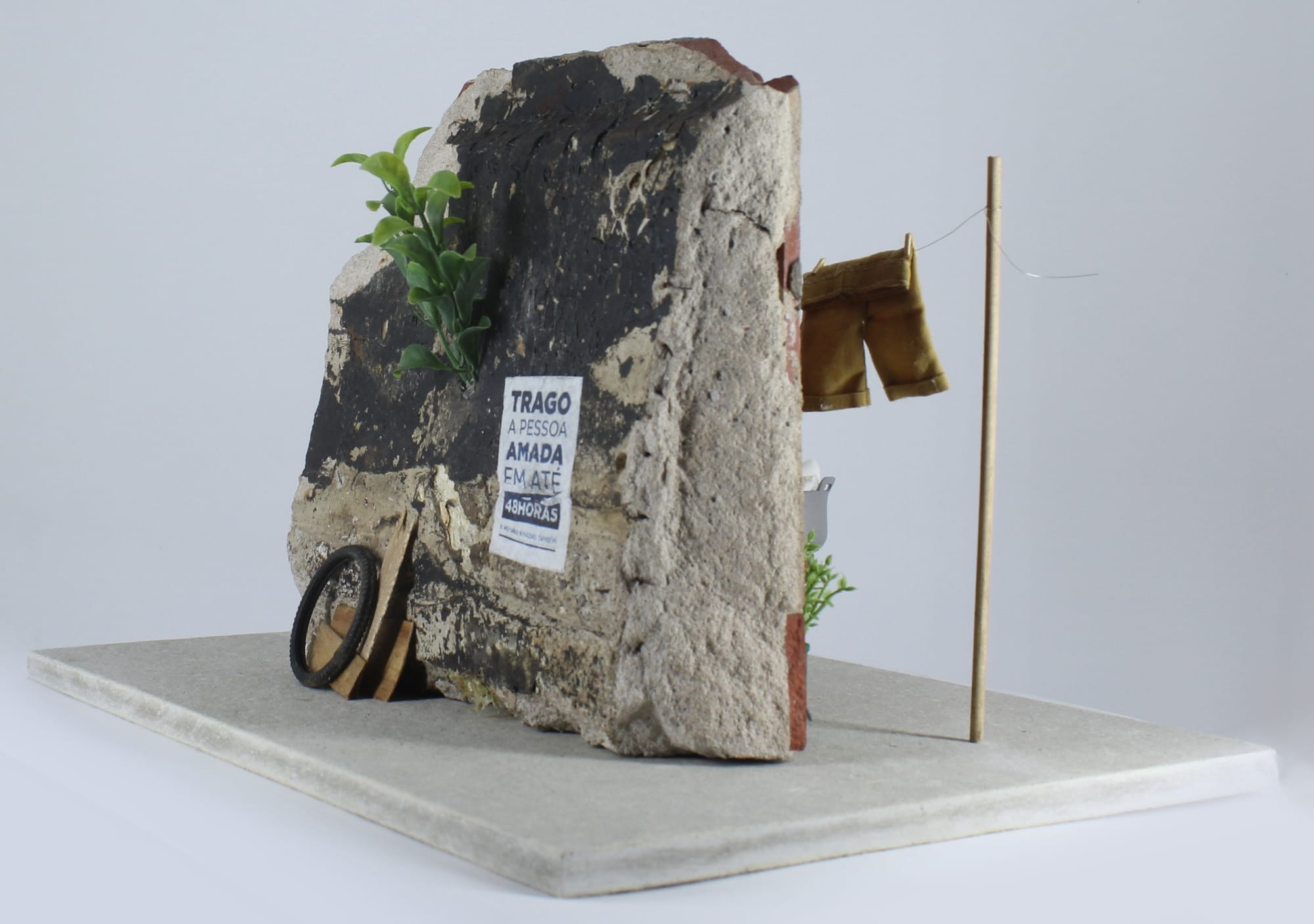 a plant grows from a concrete fragment with a poster and debris nearby
