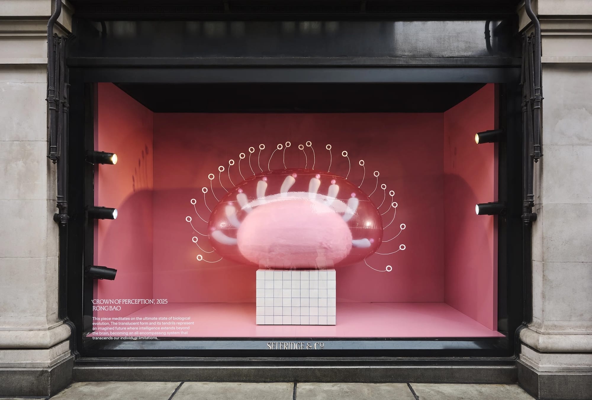 an abstract inflatable artwork in a store window that resembles a pink, alien-like creature