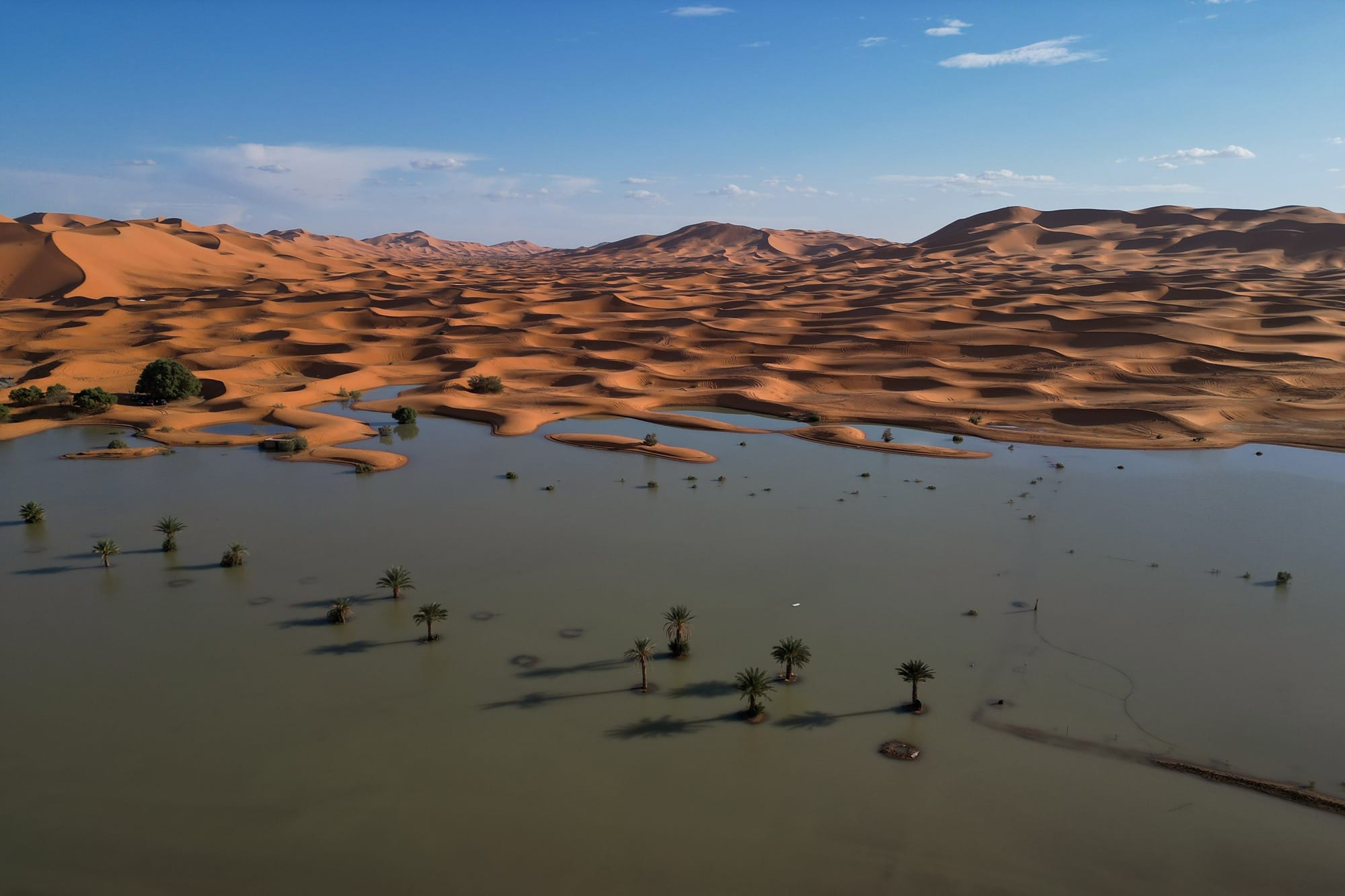 an otherworldly landscape in Morocco with palm trees in a flooded plain, with undulating sand dunes in the background