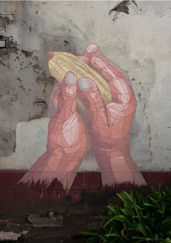a gif of murals of hands opening up to reveal corn